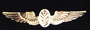 Aviation Experimental Psychologist and Aviation Psychologist
