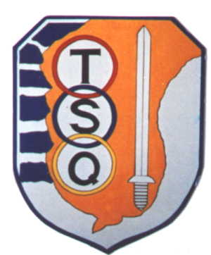 tsq.jpg (13621 bytes)