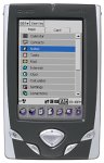 Casio Cassiopeia BE-300 Pocket Manager 16MB Color