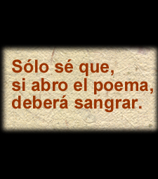 Texto de Rafael Perez Estrada