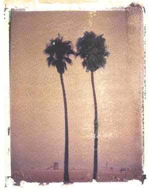 Venice Beach