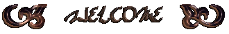 borientwelcome