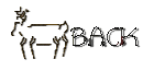 mynativeloveback