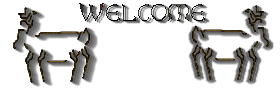 mynativelovewelcome