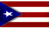 puertoricoblankbutton