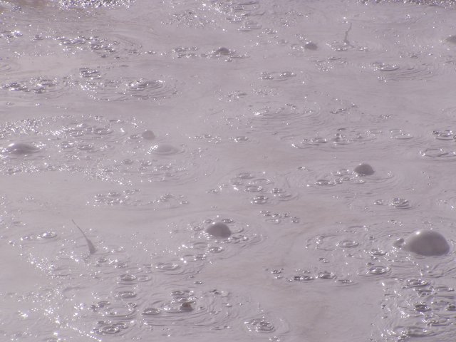 mud pots