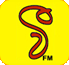 V FM, A Sri Lankan FM