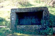 FUENTE DE LA ZARZA