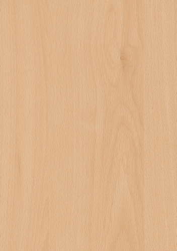 Beech