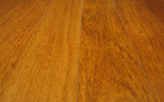 Brazilian Cherry