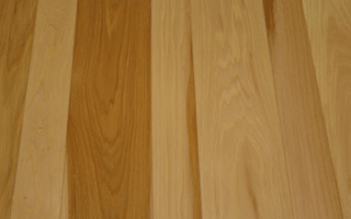 Hickory