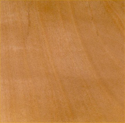German Hornbeam
