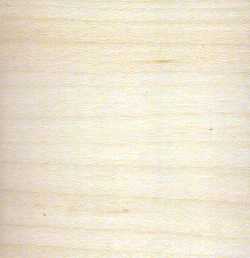 Maple