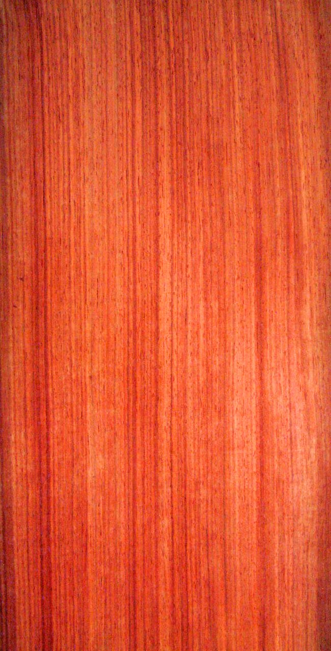 Paduak