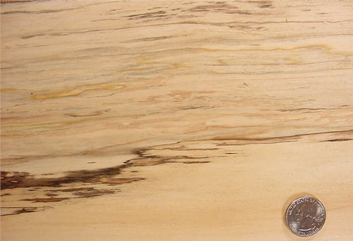 Spalted Maple