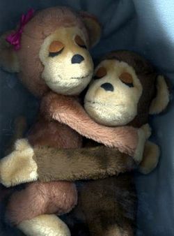 Dakin Hugging Plush Monkeys