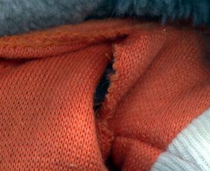 Get-Along-Gang Zipper Plush