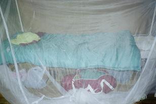 bunk