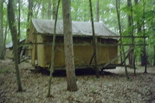 the tent