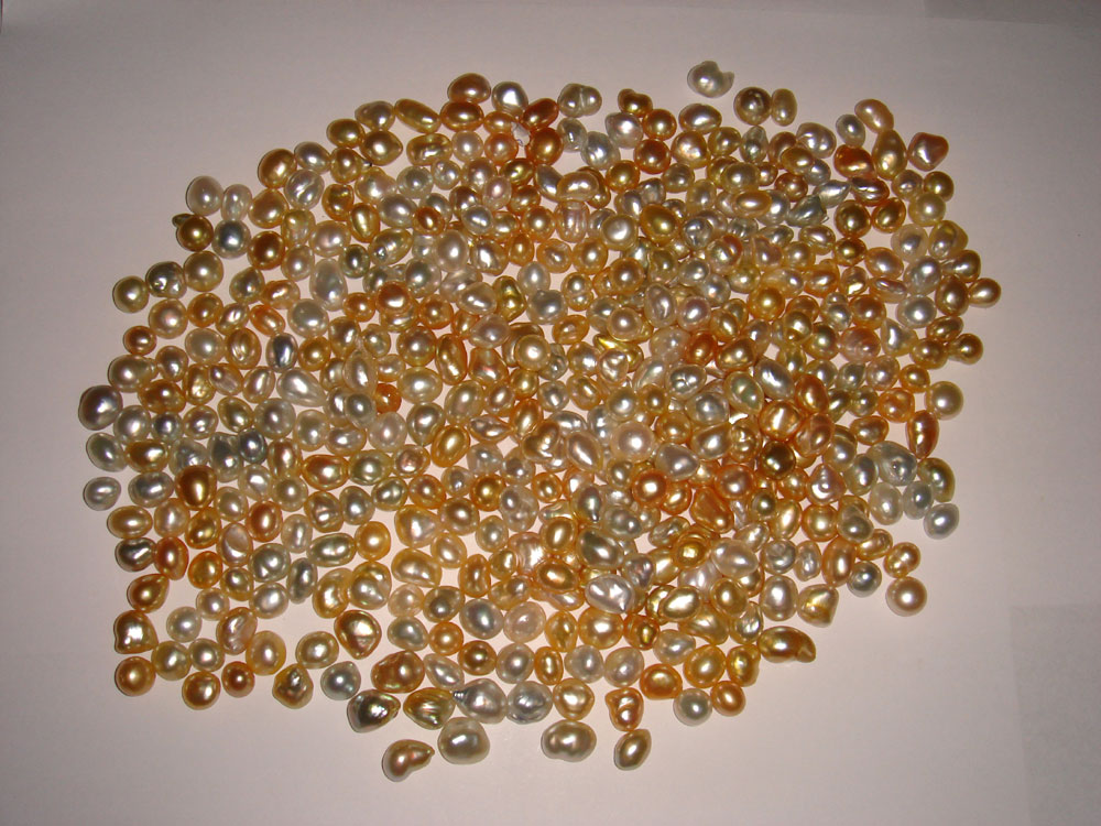 click enlarge view!