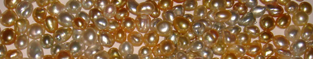 Lombok Cultured Golden Pearls Indonesia