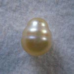 pearls circle Lombok Cultured Golden Pearls farm Indonesia