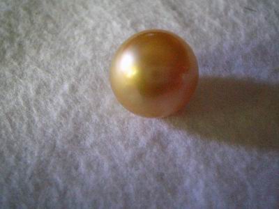 Cultured Golden Pearls round high grade A+, Lombok Cultured Golden Pearls farm Indonesia