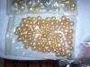 Lombok cultured golden pearls farm Indonesia