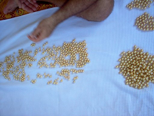 Lombok cultured golden pearls farm Indonesia