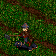 Don "Kobuld" Quixote