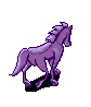 phorsie