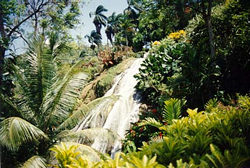 Botanical Gardens