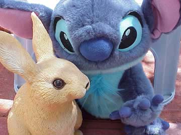 stitch
