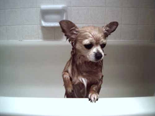 tub