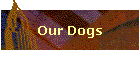 ourdogs