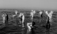 water people