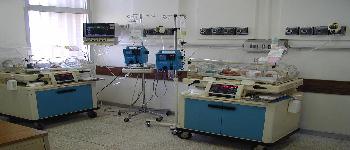 neonate