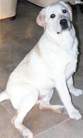 Billy