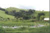 unifei045.jpg (210958 bytes)