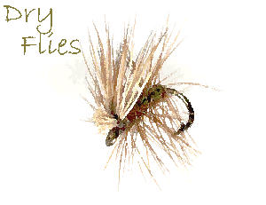 Elk Hair Caddis