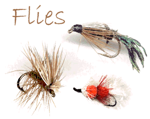 Fly Categories