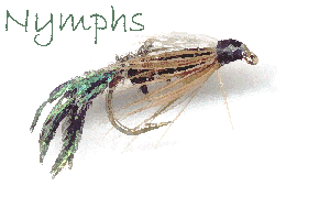 Pheasant Tail