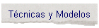 T�cnicas y Modelos