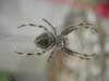 Photo Number 2