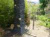 Photo Number 3