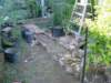 Photo Number 9