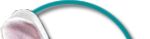 vet tech, veterinarian technician, veterinary technician training, veterinary technology school