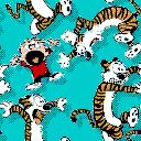 Calvin & Hobbes