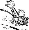Calvin & Hobbes