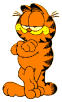 Garfield